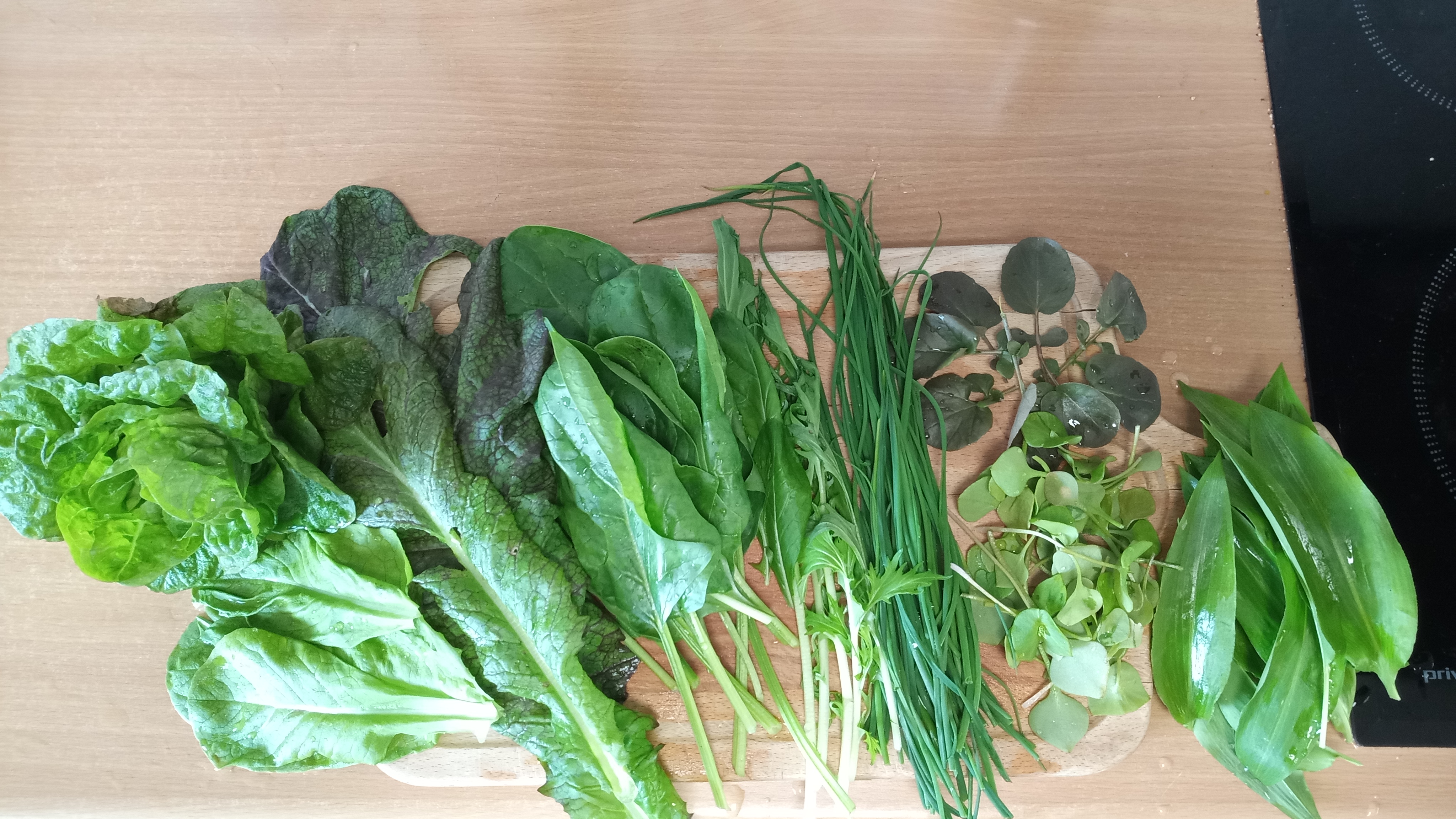 11.04.: Erster Salat eigene Ernte 11.04.: Erster Salat eigene Ernte