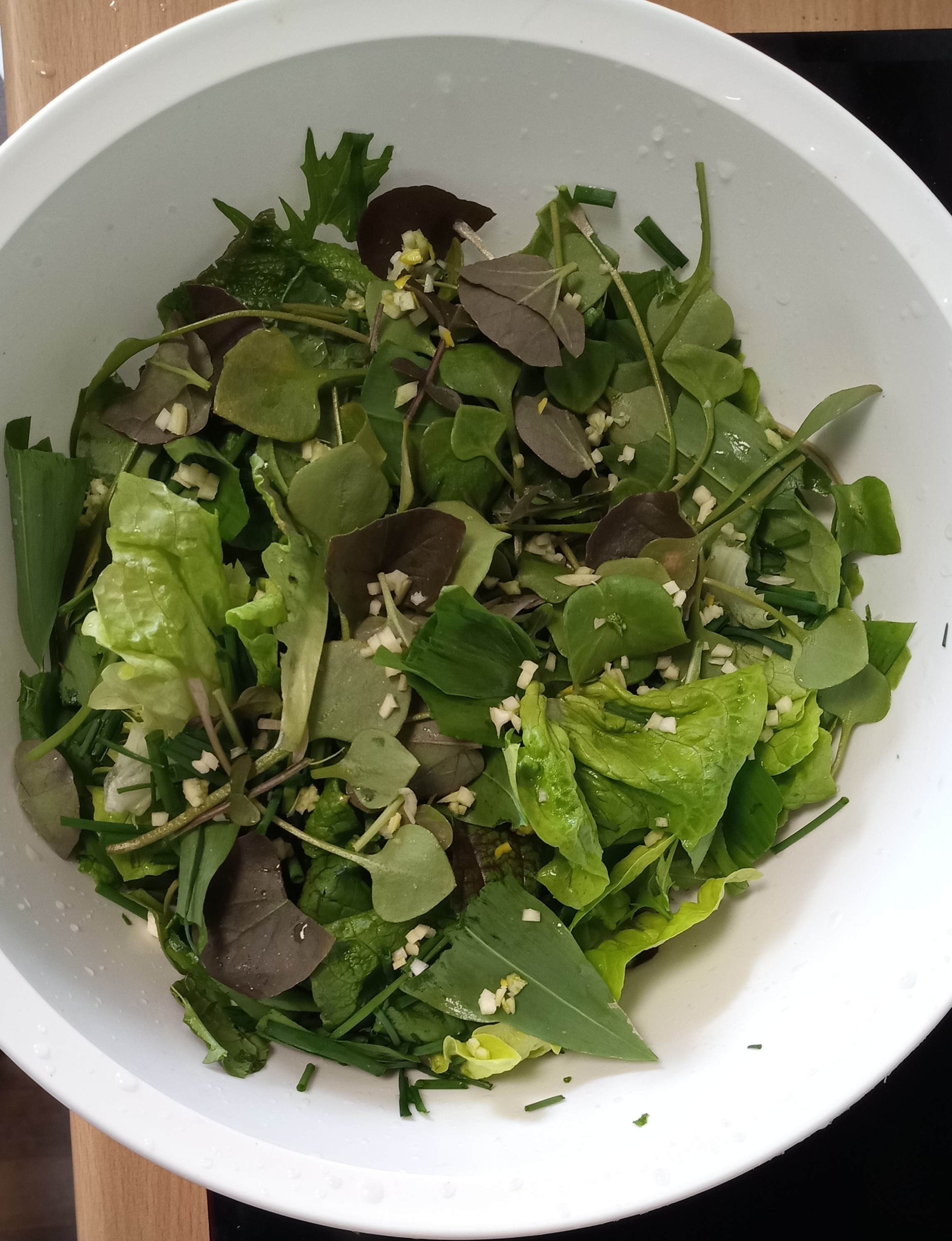 11.04.: Erster Salat eigene Ernte 11.04.: Erster Salat eigene Ernte