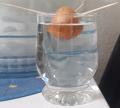 3557