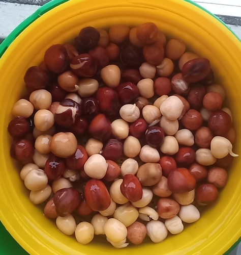 3580