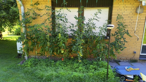 3860