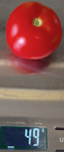 4042